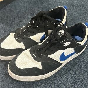 Nike SB Alleyoop Sneakers